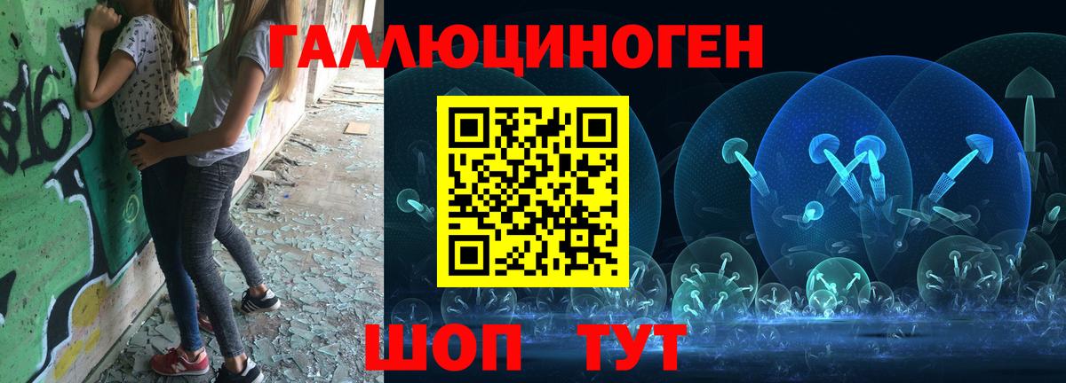 Псилоцибиновые грибы Psilocybine cubensis Дзержинск